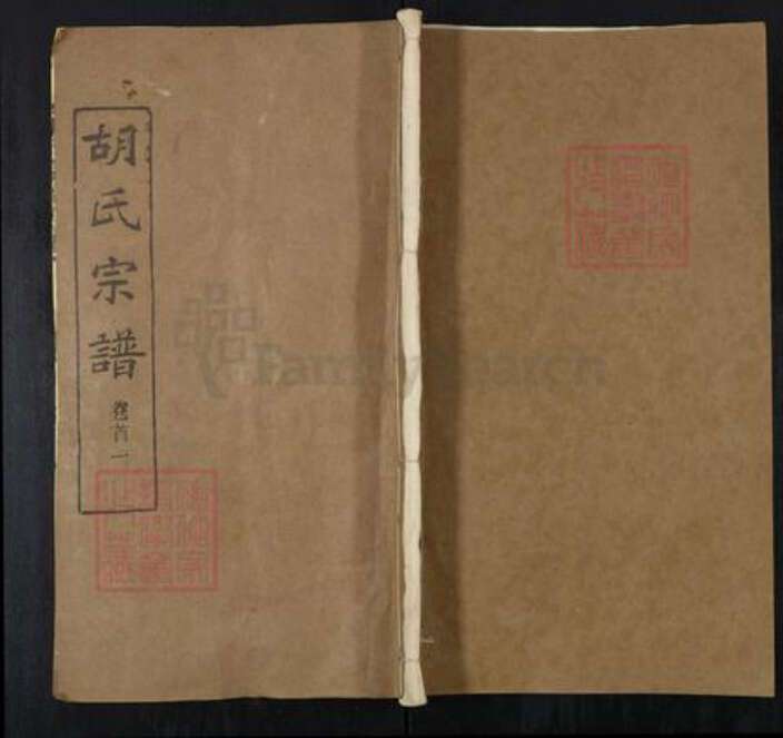 湖北省武汉市新洲区胡氏三郄堂族谱-胡氏宗谱.pdf电子版缩略图