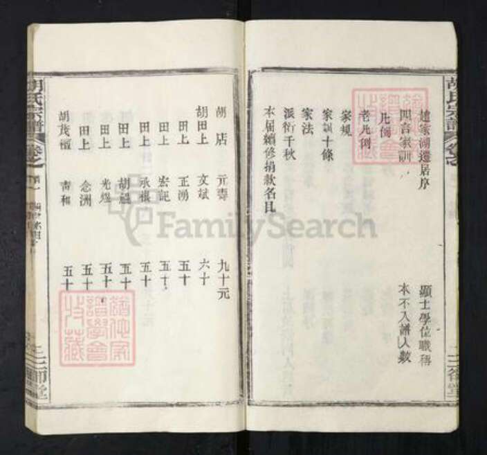 湖北省武汉市新洲区胡氏三郄堂族谱-胡氏宗谱.pdf电子版预览图2