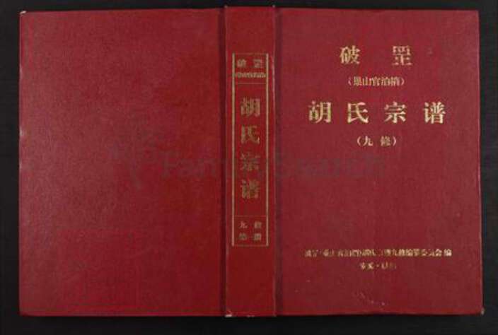 安徽省铜陵市枞阳县欧山镇胡氏瞻依堂族谱-破罡(巢山官柏梢)胡氏宗谱.pdf电子版缩略图