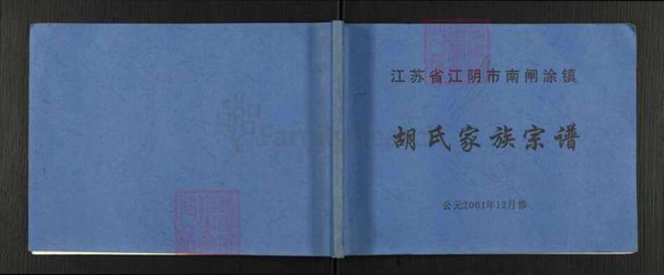 江苏省无锡市江阴市南闸街道胡氏族谱-胡氏家族宗谱.pdf电子版缩略图