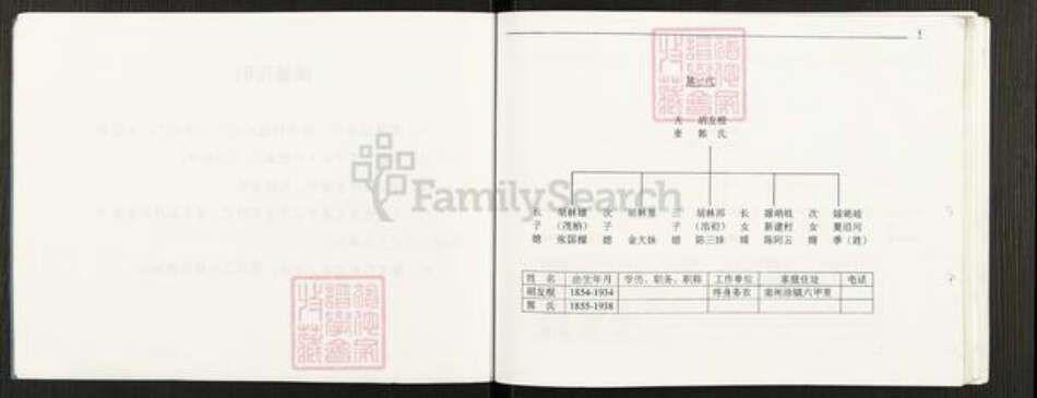 江苏省无锡市江阴市南闸街道胡氏族谱-胡氏家族宗谱.pdf电子版预览图4