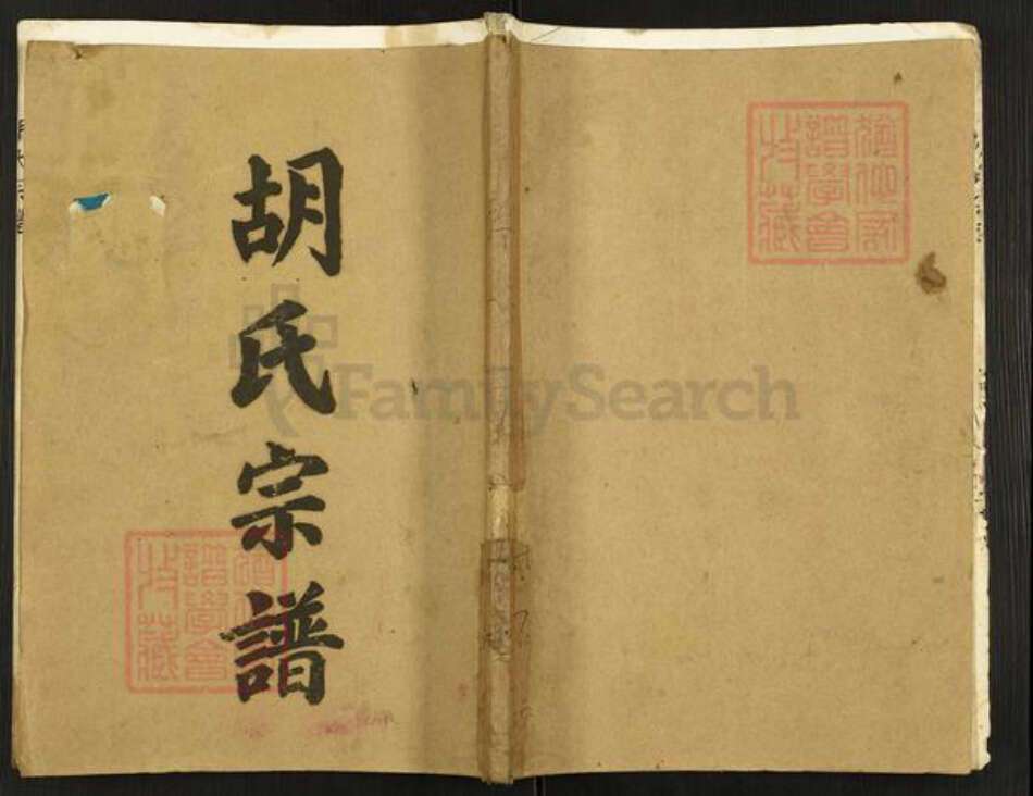 江苏省淮安市金湖县黎城街道胡氏安定堂族谱-胡氏宗谱.pdf电子版缩略图