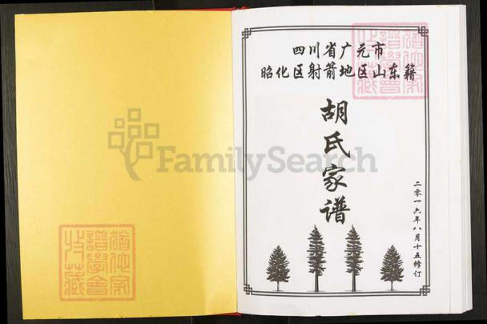 四川省广元市元坝区昭化镇胡氏族谱-四川省广元市昭化区射箭地区山东籍胡氏家谱.pdf电子版预览图1