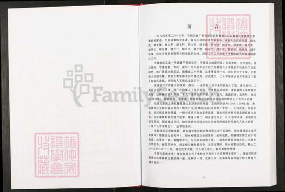 四川省广元市元坝区昭化镇胡氏族谱-四川省广元市昭化区射箭地区山东籍胡氏家谱.pdf电子版预览图4