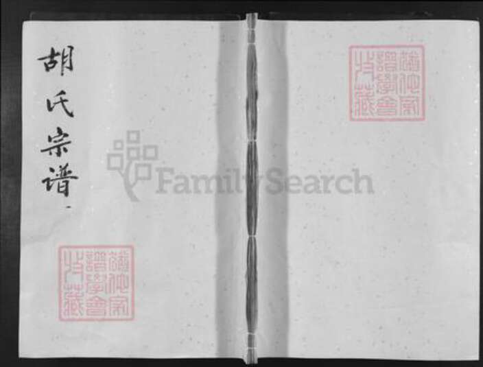 湖南省益阳市安化县渠江镇胡氏族谱-胡氏宗谱.pdf电子版缩略图