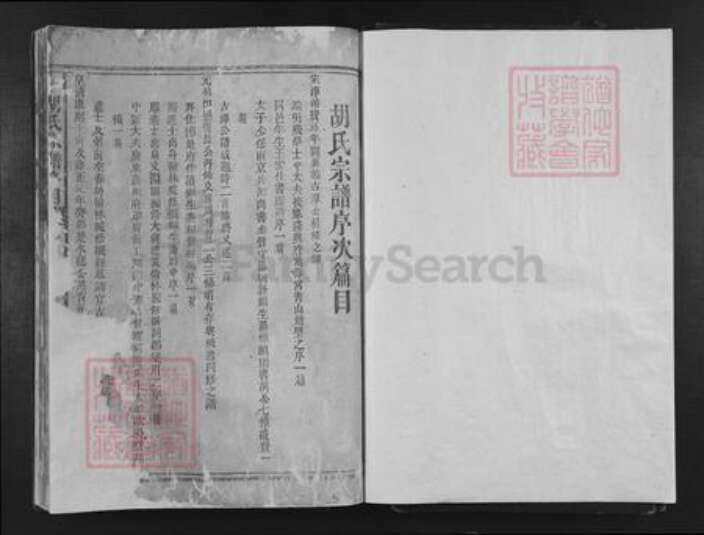 湖南省益阳市安化县渠江镇胡氏族谱-胡氏宗谱.pdf电子版预览图1