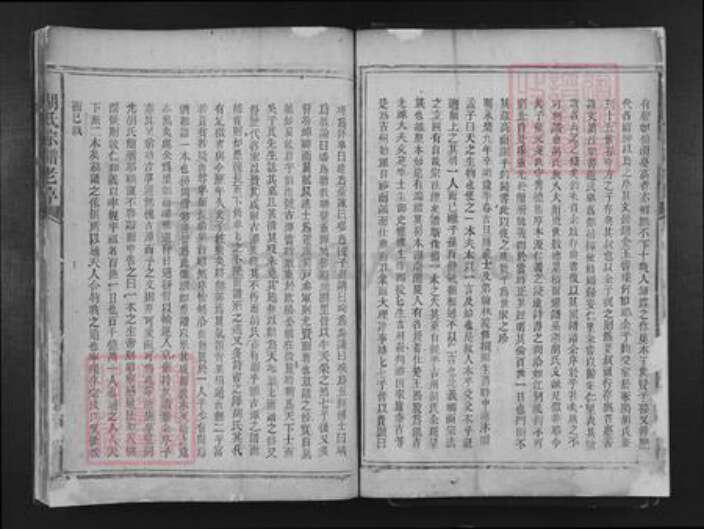 湖南省益阳市安化县渠江镇胡氏族谱-胡氏宗谱.pdf电子版预览图5