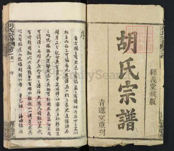 湖北省武汉市新洲区胡氏经义堂族谱-胡氏宗谱.pdf电子版预览图1