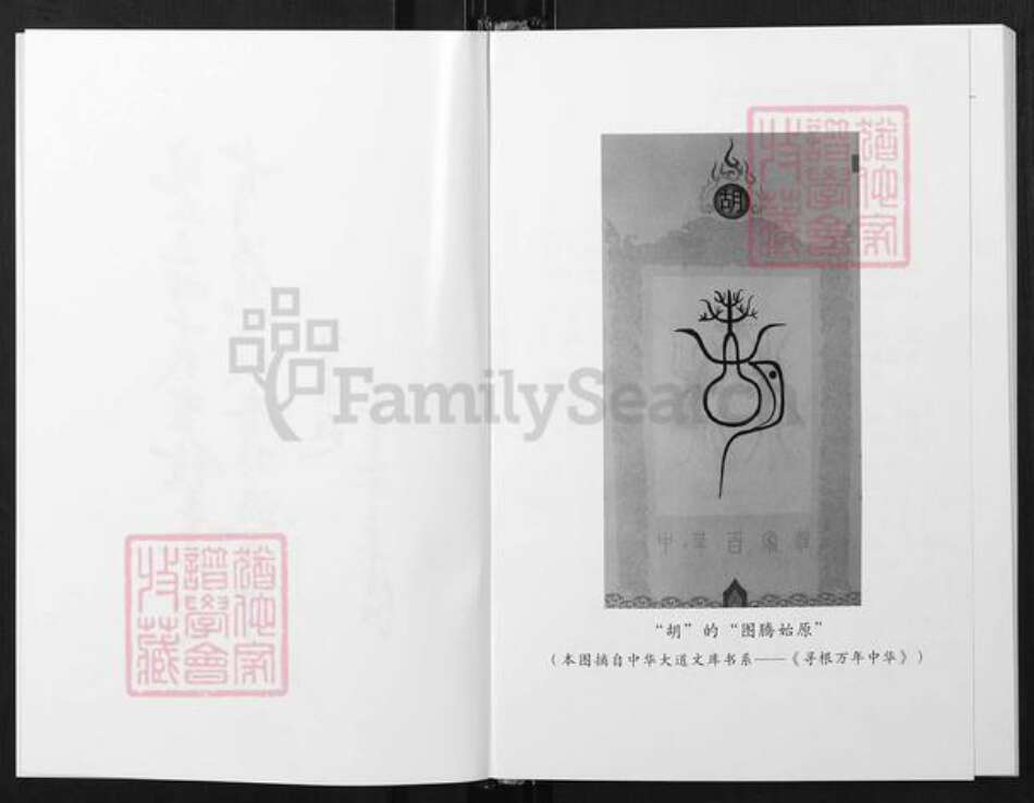 云南省玉溪市澄江市胡氏族谱-云南省玉溪市胡氏家族备考录.pdf电子版预览图3