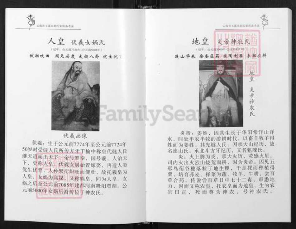 云南省玉溪市澄江市胡氏族谱-云南省玉溪市胡氏家族备考录.pdf电子版预览图5