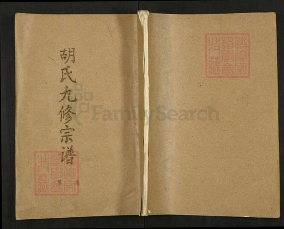 湖北省黄冈市蕲春县胡氏华林堂族谱-胡氏九修宗谱.pdf电子版缩略图