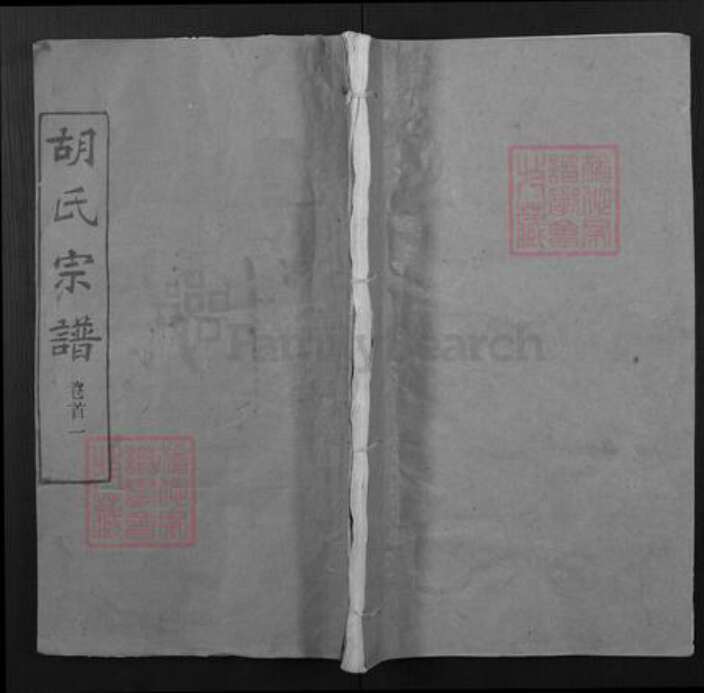 湖北省武汉市新洲区胡氏三却堂族谱-胡氏宗谱.pdf电子版缩略图