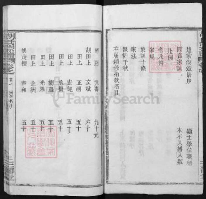 湖北省武汉市新洲区胡氏三却堂族谱-胡氏宗谱.pdf电子版预览图1