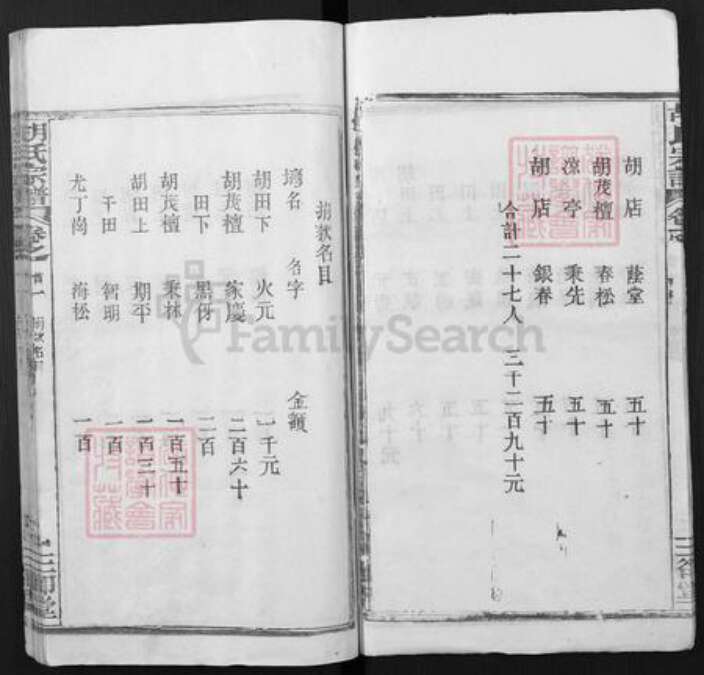 湖北省武汉市新洲区胡氏三却堂族谱-胡氏宗谱.pdf电子版预览图2