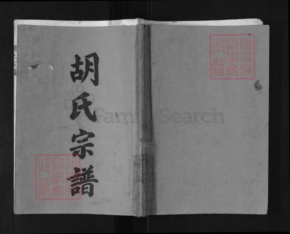 江苏省淮安市金湖县胡氏安定堂族谱-胡氏宗谱.pdf电子版缩略图