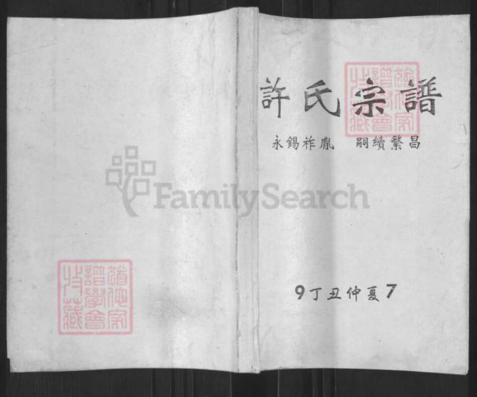 湖南省岳阳市岳阳楼区康王乡许氏高阳堂族谱-许氏宗谱.pdf电子版缩略图