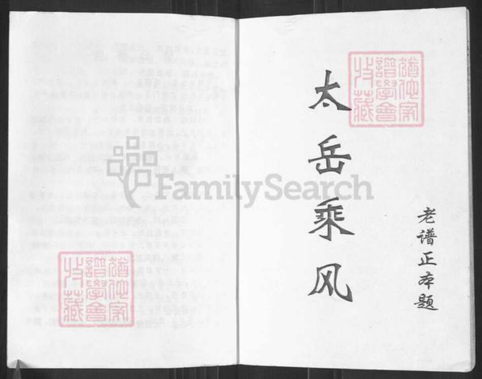 湖南省岳阳市岳阳楼区康王乡许氏高阳堂族谱-许氏宗谱.pdf电子版预览图1