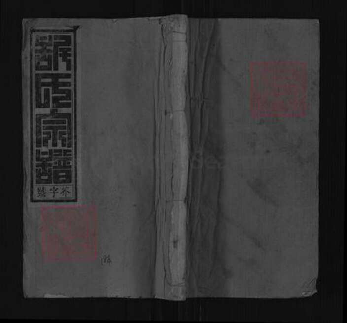 安徽省安庆市太湖县许氏世德堂族谱-许氏宗谱.pdf电子版缩略图