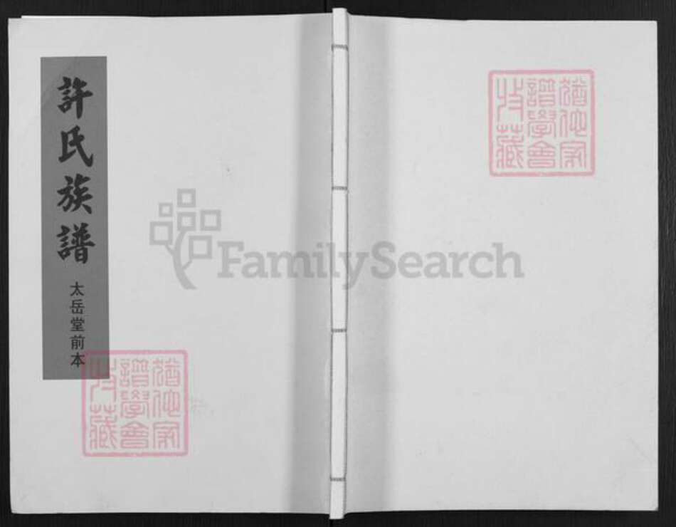 甘肃省武威民勤许氏太岳堂族谱-许氏族谱.pdf电子版缩略图