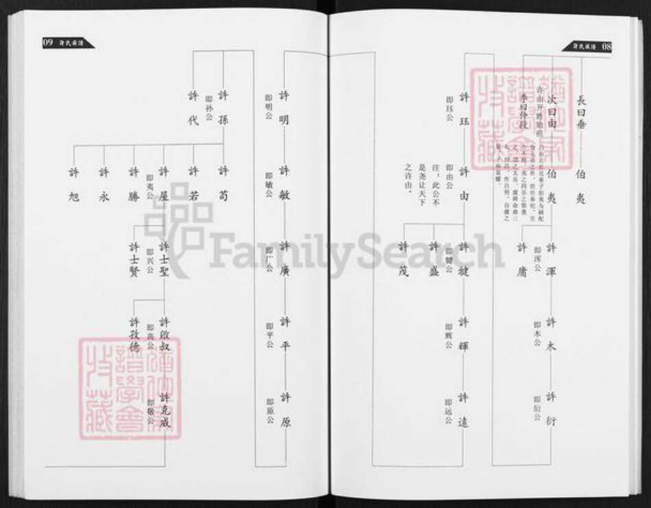 甘肃省武威民勤许氏太岳堂族谱-许氏族谱.pdf电子版预览图5