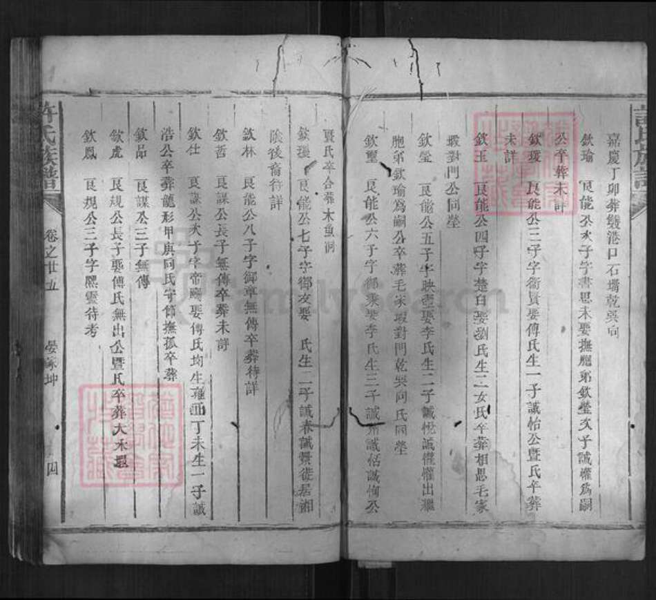 湖南省岳阳市许氏族谱-许氏族谱.pdf电子版预览图3