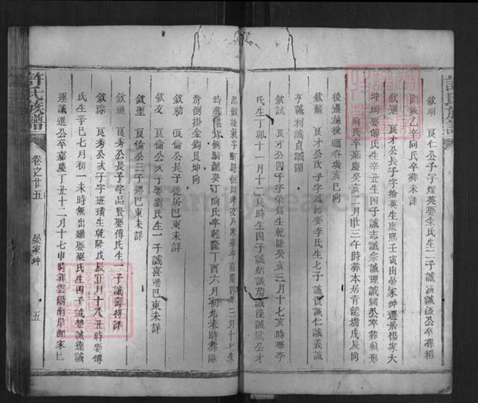 湖南省岳阳市许氏族谱-许氏族谱.pdf电子版预览图4