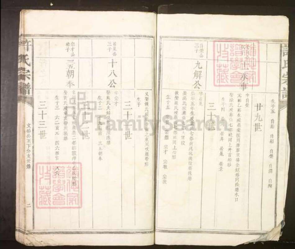 江西省抚州市南丰县许氏族谱-许氏宗谱.pdf电子版预览图2