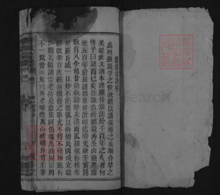 安徽省安庆市潜山市槎水镇华氏敦本堂族谱-华氏宗谱.pdf电子版预览图1