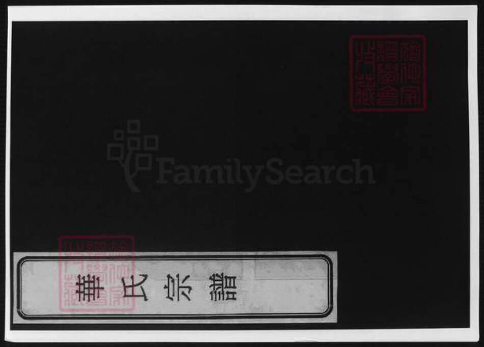 天津市华氏族谱-天津华氏南支宗谱.pdf电子版缩略图