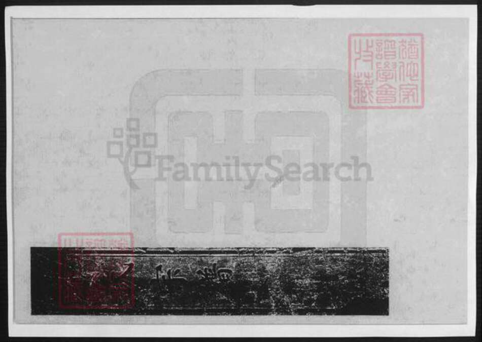 天津市华氏族谱-天津华氏南支宗谱.pdf电子版预览图1