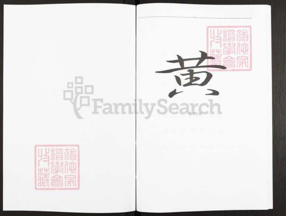 贵州省安顺市黄氏族谱-黄氏家族族谱.pdf电子版预览图2