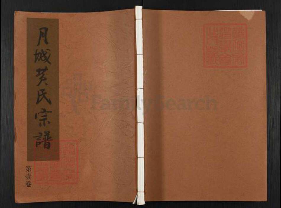 江苏省无锡市江阴市月城镇黄氏古杏堂族谱-月城黄氏宗谱.pdf电子版缩略图