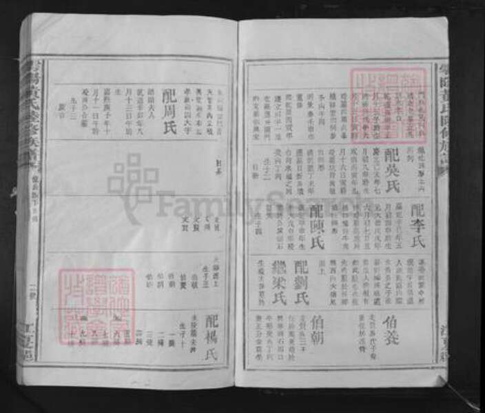 广东省梅州市梅江区黄氏族谱-雩阳黄氏陆修族谱.pdf电子版预览图5