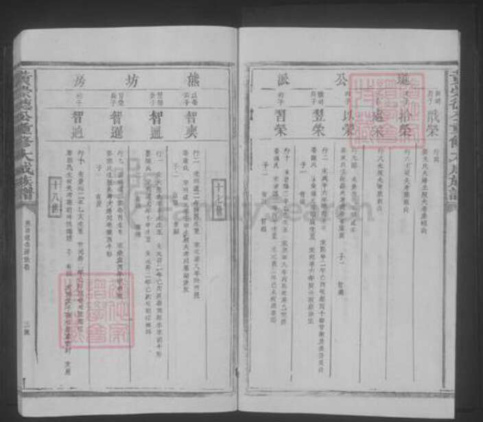 江西省宜春市丰城市黄氏族谱-黄崇德公重修大成族谱 [不分卷].pdf电子版预览图3