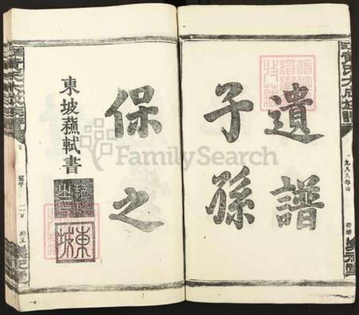 江西省宜春市丰城市黄氏崇祀堂族谱-沅江黄氏大成族谱.pdf电子版预览图5