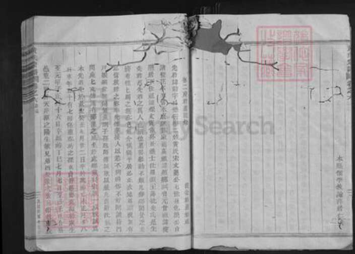 浙江省金华市永康市黄氏族谱-黄氏宗谱.pdf电子版预览图4