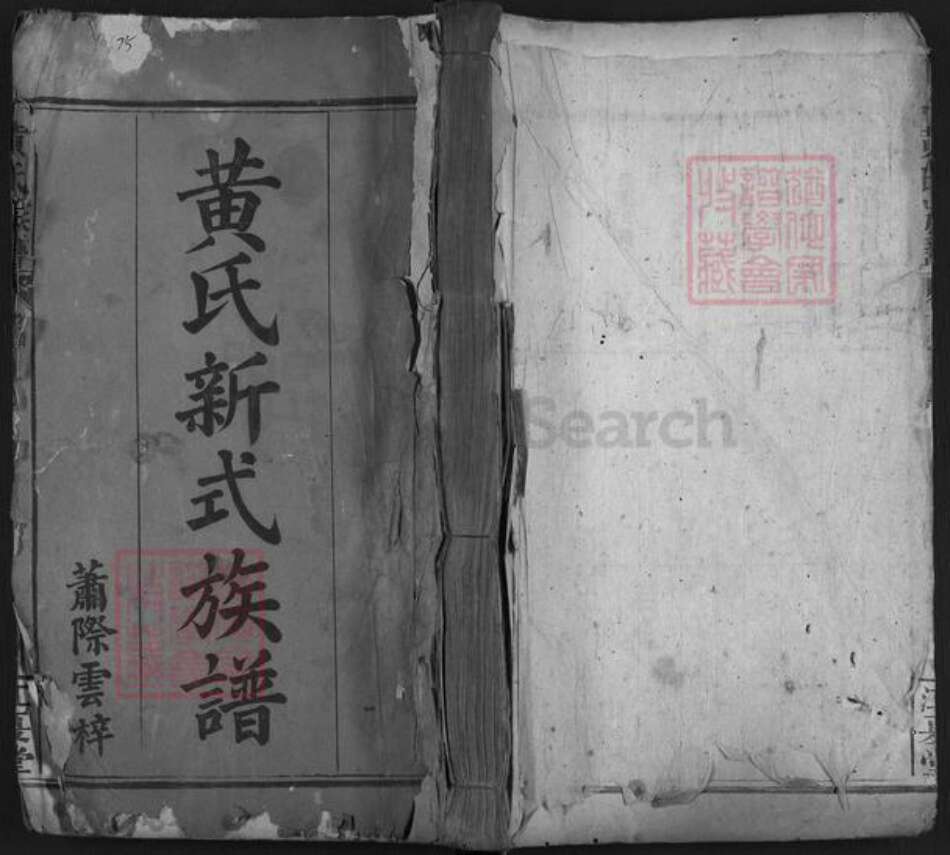 福建省漳州市平和县黄氏江夏堂族谱-黄氏新式族谱.pdf电子版缩略图