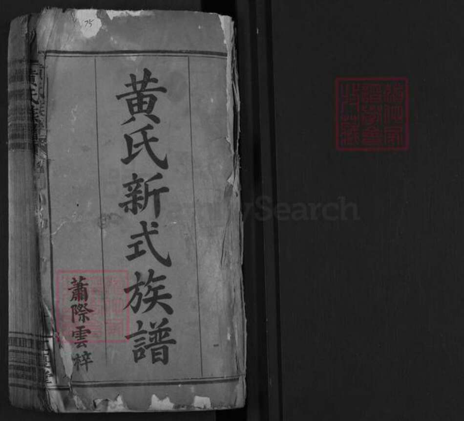 福建省漳州市平和县黄氏江夏堂族谱-黄氏新式族谱.pdf电子版预览图1