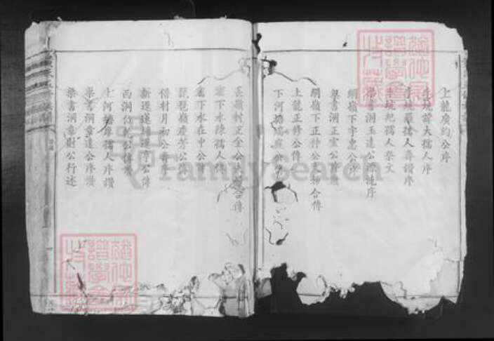 福建省南平市邵武市和平镇黄氏族谱-黄氏五修族谱.pdf电子版预览图5