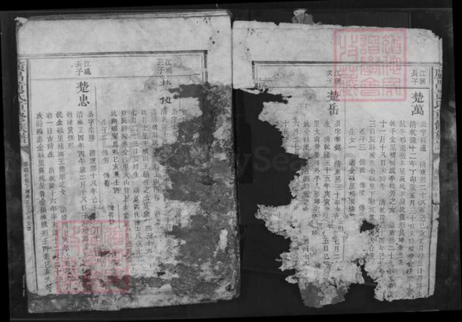 江西省抚州市广昌县黄氏族谱-广昌黄氏重修族谱.pdf电子版预览图2