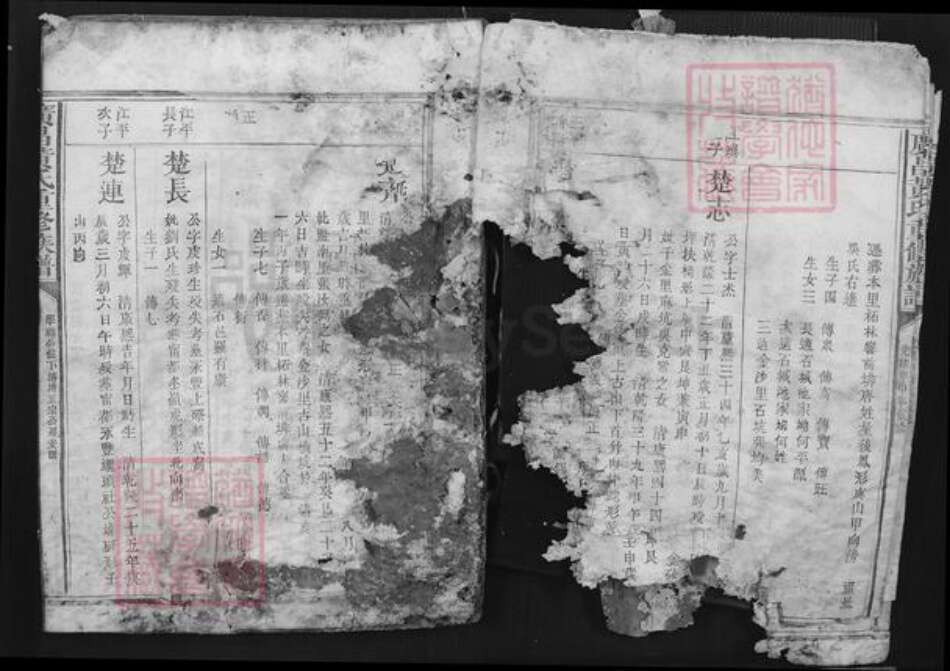 江西省抚州市广昌县黄氏族谱-广昌黄氏重修族谱.pdf电子版预览图5