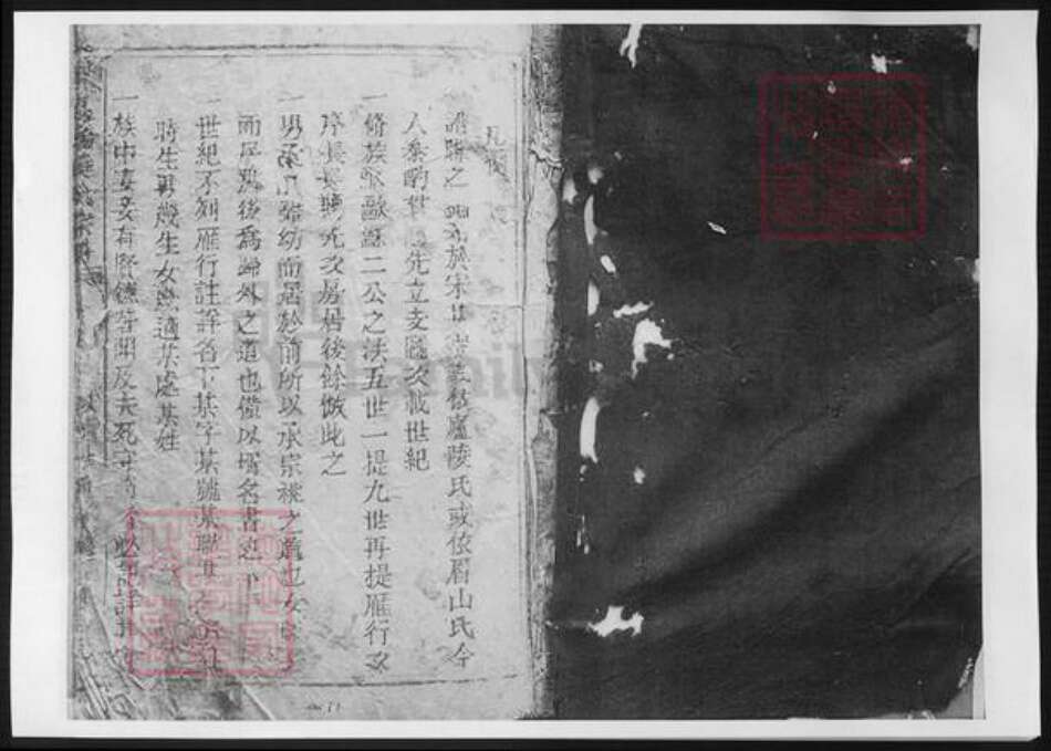 浙江省温州市苍南县黄氏族谱-苍南桥墩黄氏族谱.pdf电子版预览图1