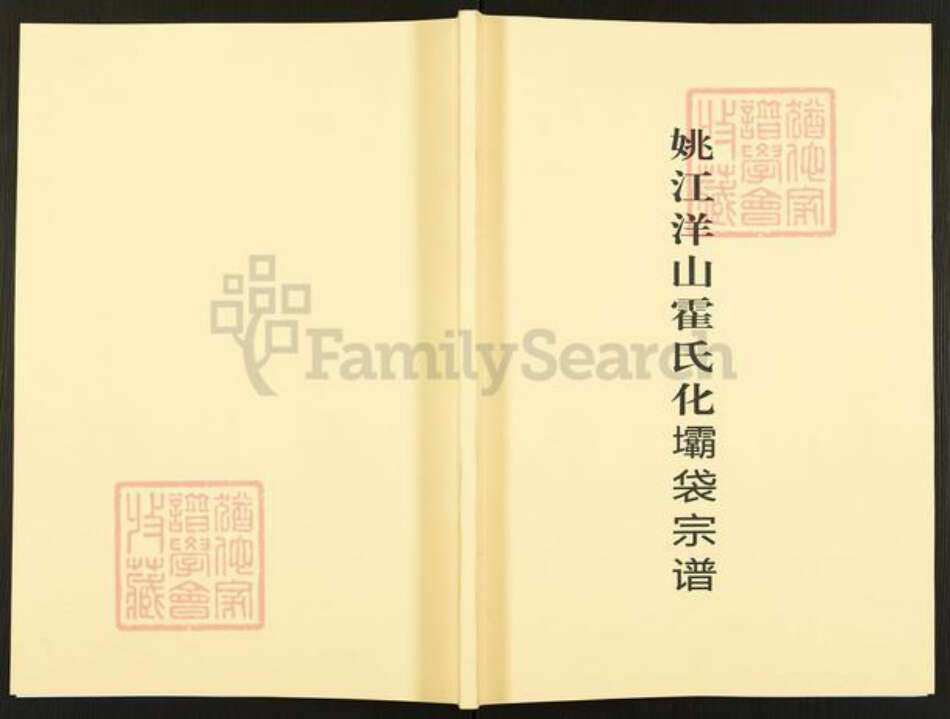 浙江省宁波市鄞州区霍氏族谱-姚江洋山霍氏化坝袋宗谱.pdf电子版缩略图