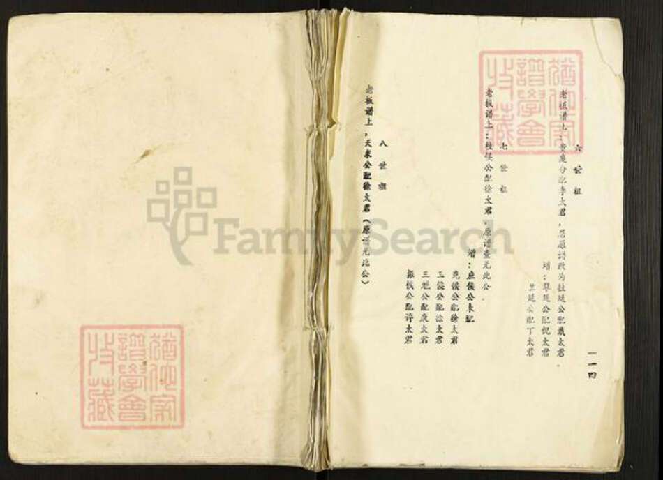 江苏省盐城市盐都区尚庄镇吉氏忠德堂族谱-吉氏族谱.pdf电子版缩略图