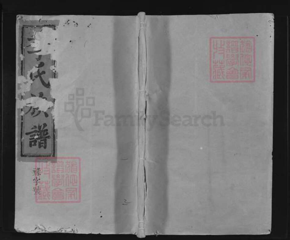 福建省南平市延平区季氏族谱-季氏宗谱.pdf电子版缩略图