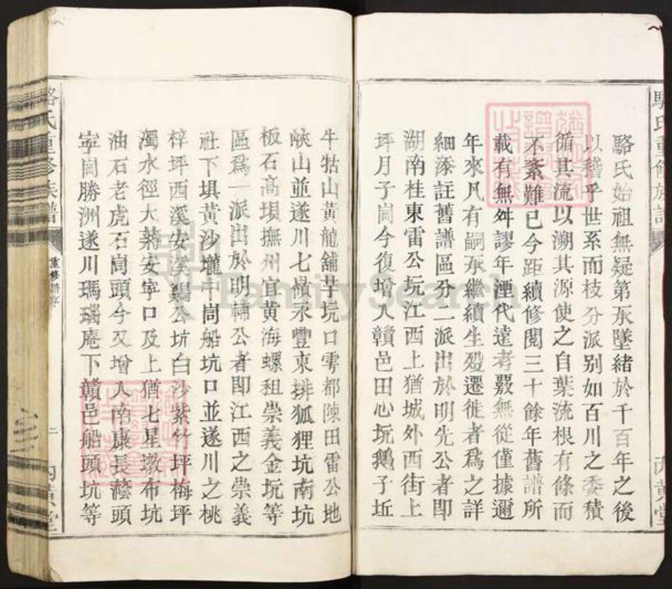 广东省河源市龙川县田心镇骆氏内黄堂族谱-骆氏重修族谱.pdf电子版预览图2