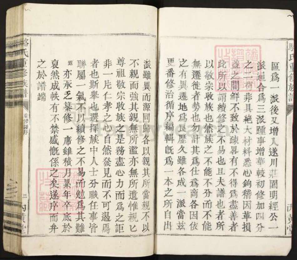 广东省河源市龙川县田心镇骆氏内黄堂族谱-骆氏重修族谱.pdf电子版预览图3