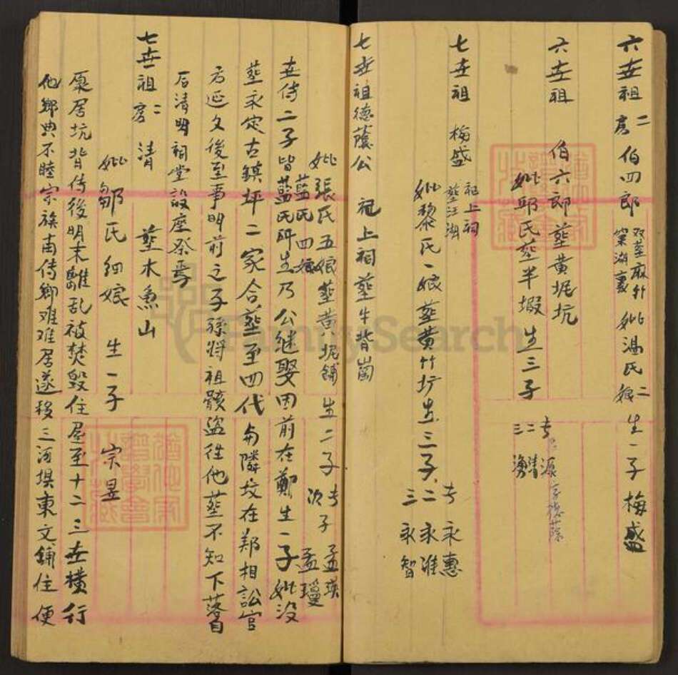 福建省龙岩市上杭县庐丰畬族乡江氏族谱-济阳族谱.pdf电子版预览图5