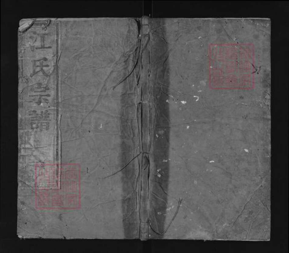 安徽省铜陵市枞阳县江氏崇本堂族谱-江氏宗谱.pdf电子版缩略图