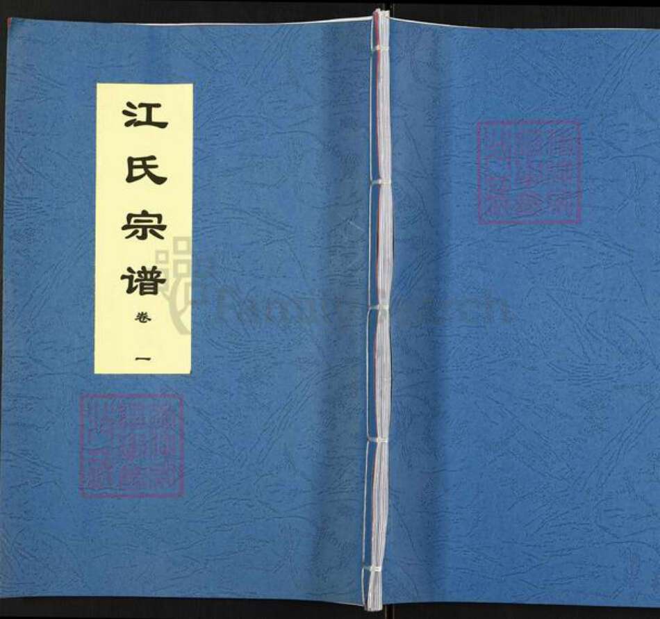 安徽省滁州市定远县连江镇江氏三忠堂族谱-江氏宗谱.pdf电子版缩略图
